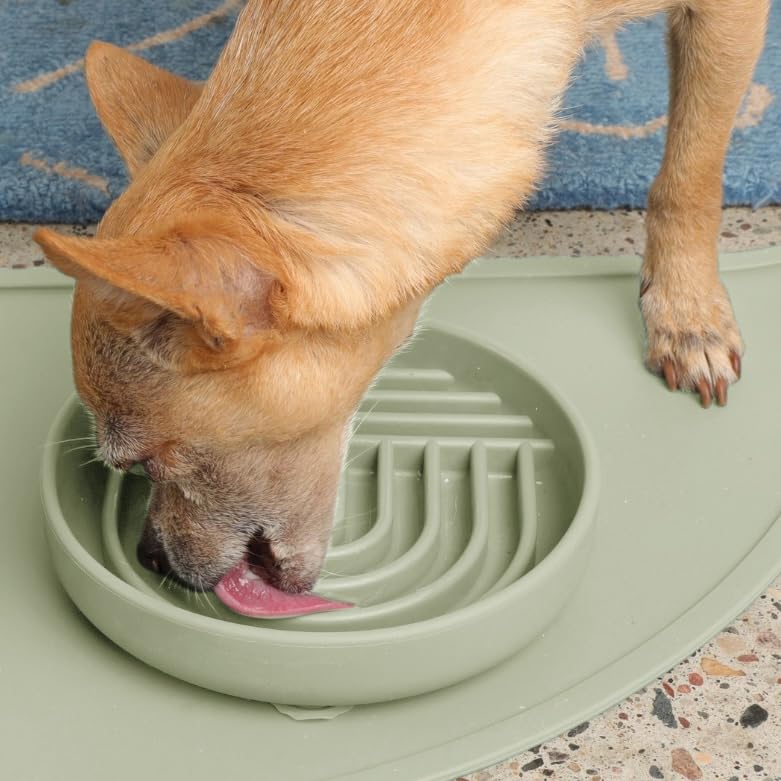 Slow Feeder Dog Bowl - Silicone Dog Bowl, Small, 6" x 1.25" - Sage - color: Sage - Rainbow Design, size: Small (6” Across x 1.25” Tall)