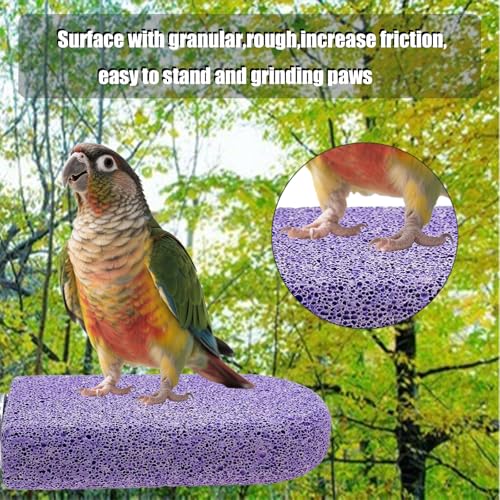 Pet Teeth Grinding Stone and Perch, Bird Perch Stands, Natural Chewing Toys for Small Medium Birds Budgies Conures Cockatiels Rats, Purple and Pink - color: Purple and Pink, size: Big