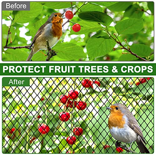 DQS Bird Netting for Garden 25x100ft, 2.4" Square Mesh Heavy Duty Nylon Net - size: 2.4", 25' x100'