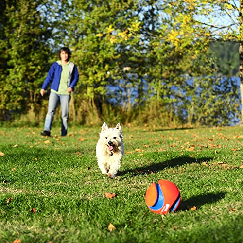 Chuckit! Kick Fetch Ball Dog Toy - Floats in Water - Perfect for Interactive Play - Made with Durable Rubber and Foam - for Large Dogs - Size Large - 8-inch Diameter - 1 Count (Pack of 4) - size: Large (Pack of 4), style: Classic