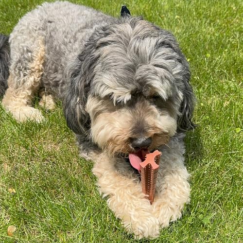 SPOT Bam-Bones Plus T-Bone Dog Chew, Beef, 6in, 30-60 lb Heavy Chewers - size: Medium