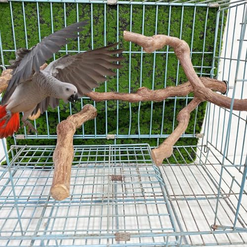 4PCS Bird Perch Natural Grape Stick Bird Standing Stick Grapevine - color: 4PCS Natural Grape Stick