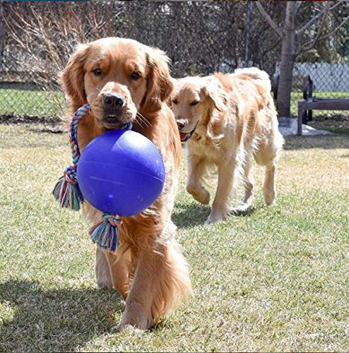 Jolly Pets Romp-N-Roll Rope & Ball Dog Toy, 8 in Large, Blue - color: Blue, size: Large (8 in)