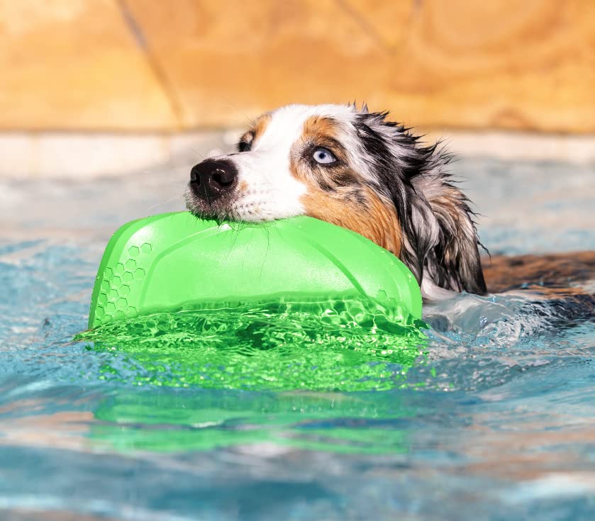 PROJECT HIVE ·PET COMPANY· Dog disc - Great for Fetch - Includes a Lick mat on Back - Floats in Water, Smooth Glide - Made in The USA (Tropical Coconut) - color: Tropical Coconut