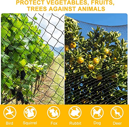 BSTPCOO Bird Net 25'x25' with 2.4" Square Mesh Bird Netting for Chicken Coop Roof, Poultry Netting Heavy Duty Nylon for Garden, Chicken Netting Fruit Tree Netting, Hawk Netting for Chicken Run - size: 2.4"-25' X 25'