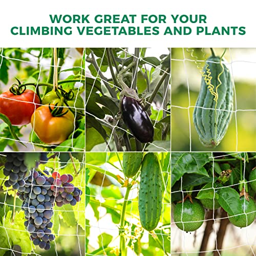 Kikhope Trellis Netting, 3 Packs 5 x 15 ft Heavy-Duty Polyester Plant Trellis Netting Mesh, Square Mesh Net for Climbing Plant, Fruits, Vegetables, Vines, Grow Tents, White - size: 5 x 15 ft ( 3 Packs )
