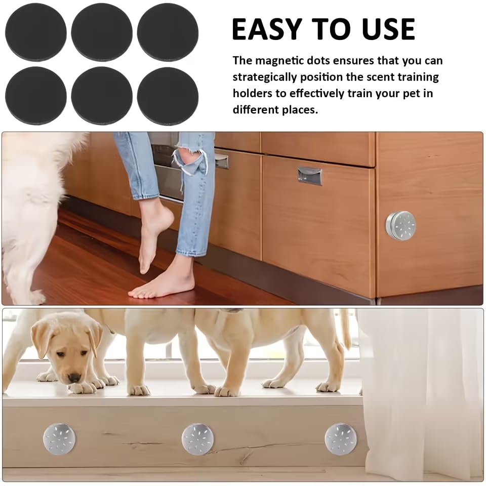 1Pc Dog Scent Training Case, Training Container, Odor Training Tool, Pet Dog Training