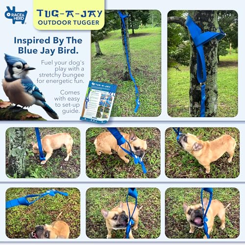 Race&Herd Tug-A-Jay Tether Tug Outdoor Dog Toy — Bungee Tug Rope - color: Tree Tugger