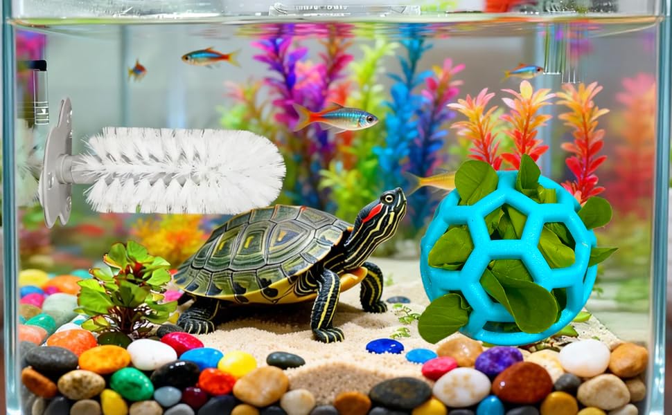 11 pcs Turtle Enrichment Toys Set Tank Tortoise Feeder Brush Skateboard Aquarium Feed Toy Tortoise Feeding Balls