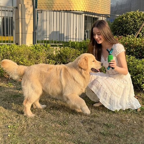 Dog Toys for Aggressive Chewers, Tough Stick Chew Bone - color: 03-dark green