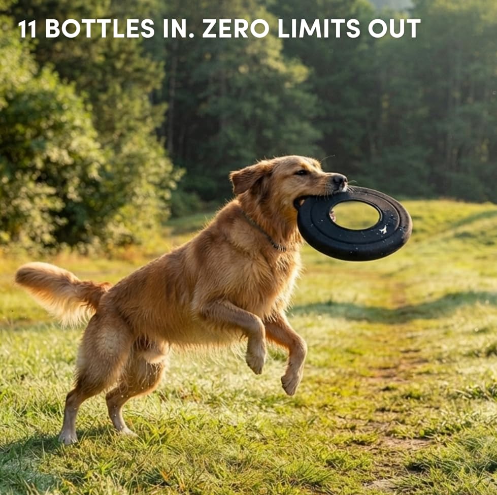 OllyDog Mini Super Flyer, Dog Flying Disc – Floating Fetch Toy, Soft on Teeth, Eco-Friendly Recycled Material, Lightweight, for Small & Medium Dogs (Raven, 9") - color: Raven