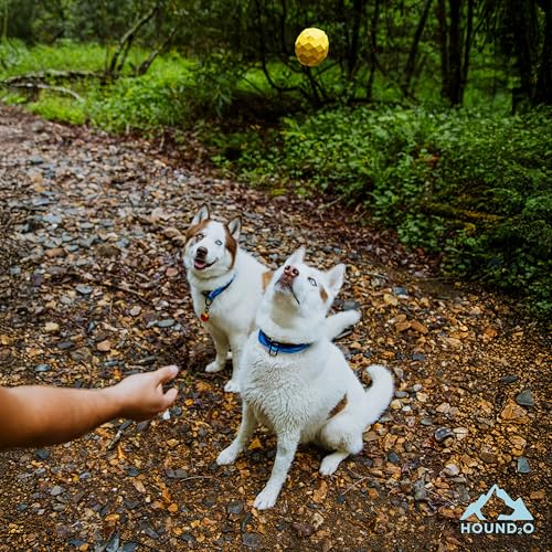 Squeaky Fetch Ball - Floating Outdoor Dog Toy - Yellow - color: Yellow