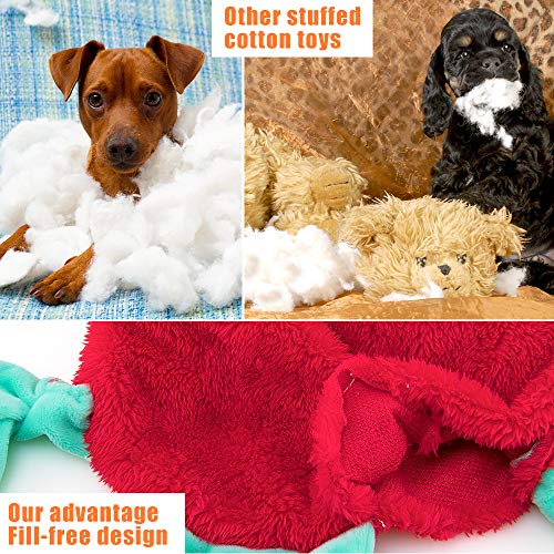 AWOOF 5 Pack Dog Squeaky Toys - No Stuffing, Durable Chew Toy Set for Puppy, Small to Large Dogs