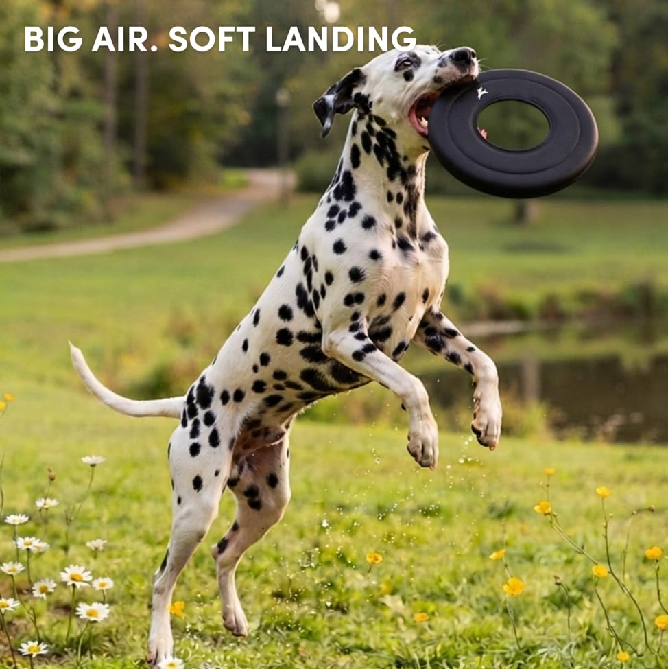 OllyDog Mini Super Flyer, Dog Flying Disc – Floating Fetch Toy, Soft on Teeth, Eco-Friendly Recycled Material, Lightweight, for Small & Medium Dogs (Raven, 9") - color: Raven