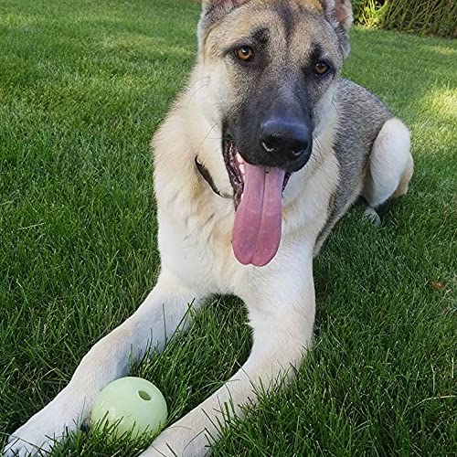 Chew King by Mammoth Set of 2 Glowing Fetch Ball, Durable Bouncy Interactive Toy for Pets & Dogs, Lightweight, 3 Inch, Fits Ball Launcher - color: 2-Pack, size: 3" (2 Pack)