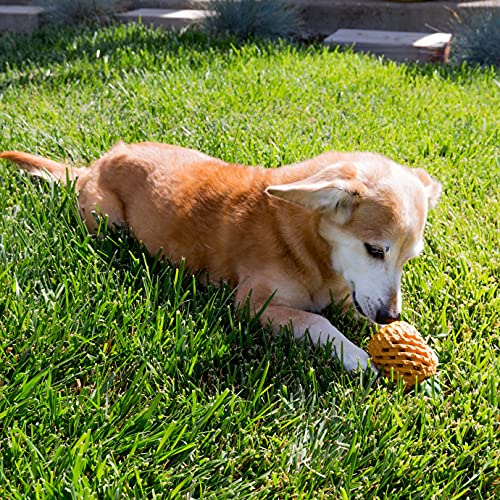 Youngever Pineapple Dog Treat Toys for Pet Teeth Cleaning, Chewing, Fetching, Tough Toy for Aggressive Chewers, Treat Food Dispensing Toys (Small 4.3 inch) - size: Small 4.3 inch