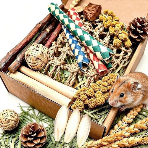 Hamster Chew Toys Box Hamster Treats Guinea Pig Toys for Teeth - size: Large