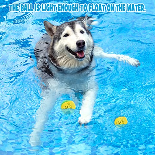 BINGPET Dog Pool Toy Floating Balls, 2 Pack Summer Dog Water Ball