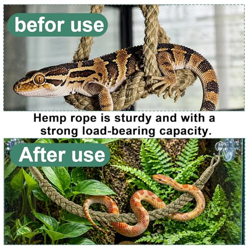 1 Set Green Snake Climbing Rope, Ball Python Tank Accessories with 2 Suction Cups & 2 Horn Hooks, 1.9cm Height Snake Enclosure Accessories for Ball Python Enrichment
