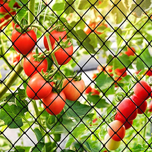Bird Netting 50'x50' Heavy Duty Nylon Net with 2" Mesh, Chicken Netting - size: 2", 50' x 50'