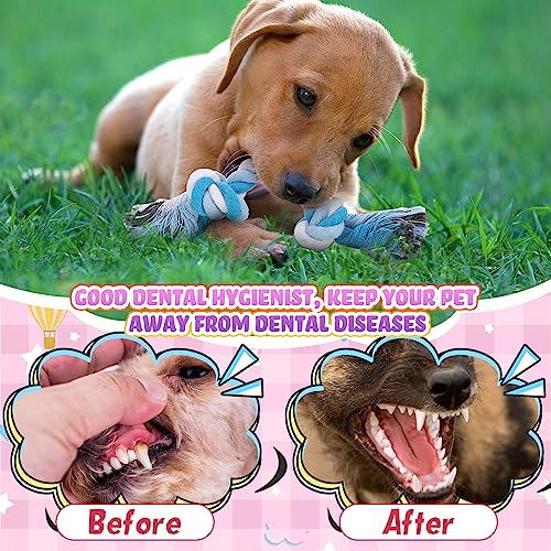 Paterr 12 Pcs Cotton Rope Toys for Small Dogs Puppy Teething