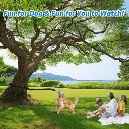 LOOBANI Outdoor Bungee Tug Toy, Interactive Dog Door/Tree Hanging Toys - color: Blue+Orange
