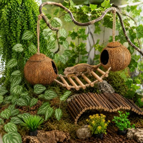 RUNANIA Crested Gecko Tank Accessories, Reptile Hanging Plants Vines with Natural Double Coconut Hideout & Climbing Ladder Decor for Hermit Crab Lizard Leopard Gecko Chameleon Snake Terrarium Decor - size: Large