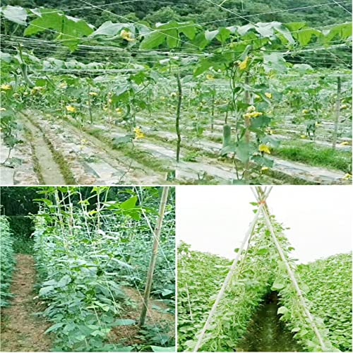 White Trellis Netting 4x100 ft Heavy Duty Garden Netting Polypropylene Plant Support Net for Climbing Vegetables Fruits Flowers - size: 4x100 ft