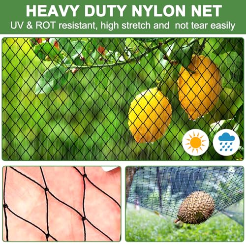 DQS Bird Netting 25' x 25' with 2.4" Mesh, Heavy Duty Nylon Garden Net - size: 2.4", 25' x25'