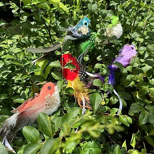 Cat Feather Toys Refill, 5 Pieces Attachments Feathers Bird for Cat Wand - color: 5PCS Cat Feather Bird Refills