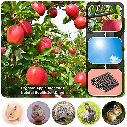 ERKOON Natural Apple Sticks 500g (1.1lb) Small Animals Molar Chew Toys Apple Branch Chew Treats for Hamster Rabbit Chinchilla Bunny Guinea Pig Squirrel (Pack of 2) - size: 1.1 Pound (Pack of 2)