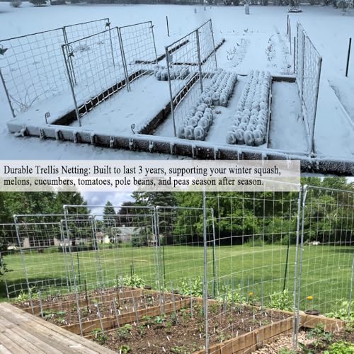 Trellis Netting 5x30 Ft for Climbing Plants - size: 5x30 FT