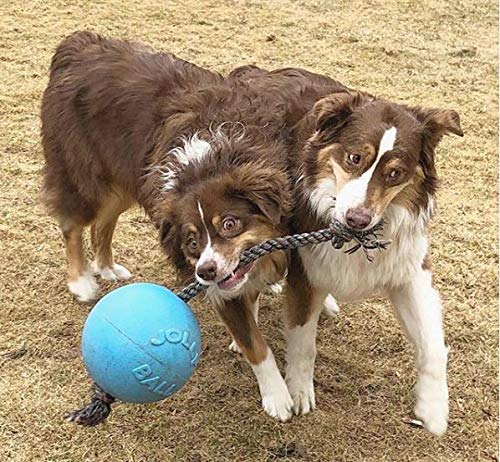 Jolly Pets Romp-N-Roll Rope & Ball Dog Toy, 8 in Large, Blueberry - color: Blueberry, size: Large (8 in)