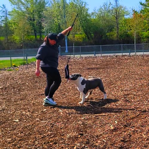 Flirt Pole For Dogs- Extendable Heavy Duty Flirt Pole For Dogs- Interactive Dog Training Toy w/ Interchangeable Lures & Instructional Guide- Engaging Heavy Duty Dog Toy- Flirt Pole For Large Pups