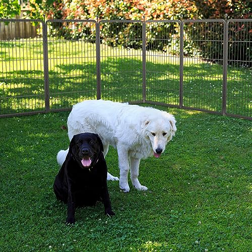 FXW Aster Dog Playpen Designed for Yard, 40" H, 16 Panels - size: 40"H & 16 Panels