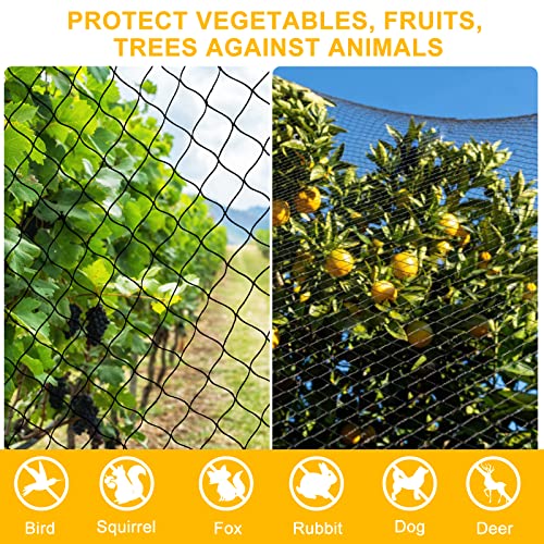 BSTPCOO Bird Netting 50ft x 100ft, Heavy Duty 1 inch Mesh Nylon Nettings - size: 50'×100'-1''
