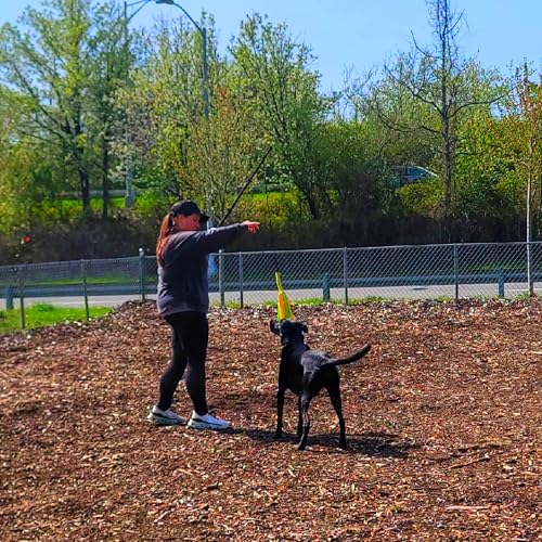 Flirt Pole For Dogs- Extendable Heavy Duty Flirt Pole For Dogs- Interactive Dog Training Toy w/ Interchangeable Lures & Instructional Guide- Engaging Heavy Duty Dog Toy- Flirt Pole For Large Pups