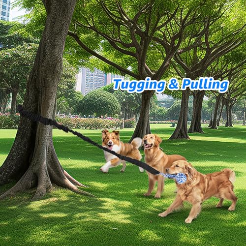 LOOBANI Outdoor Bungee Tug Toy, Interactive Dog Door/Tree Hanging Toys - color: Blue+Orange