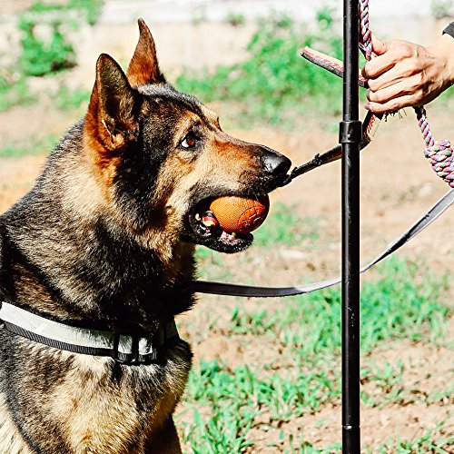 Dog Retractable Interactive Training Tug Toy - Pet Obedience Training Tug - Stable Exercise Metal Pole & Spring Rod with Replaceable Chew Rope for Small/Medium/Large Dogs