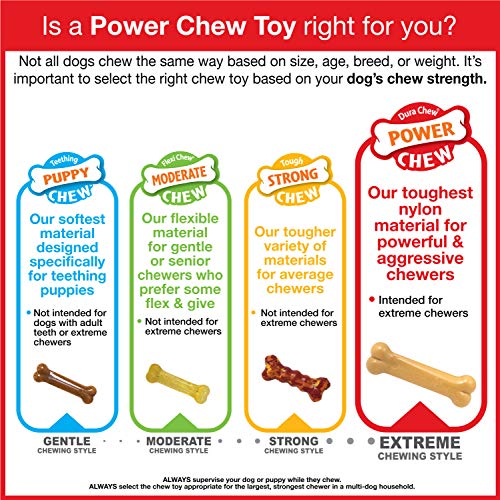 Nylabone Power Chew Original Bone Dog Chew Toys, X-Small, 3 Count - size: X-Small