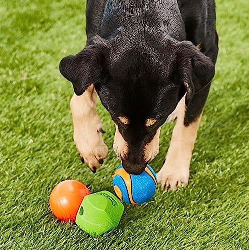 Chuckit Gen 1 Fetch Pack Dog Balls - Interactive Dog Toys, High-Bounce Fetch Ball, Floating Ultra and Rugged Balls, Durable - Size Medium, 2.5-inch Diameter, Set of 3 - size: Medium (2.5"), style: Fetch Pack 3