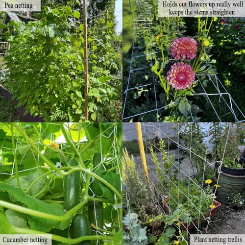 Trellis Netting 5x350 Ft for Climbing Plants - size: 5x350 FT