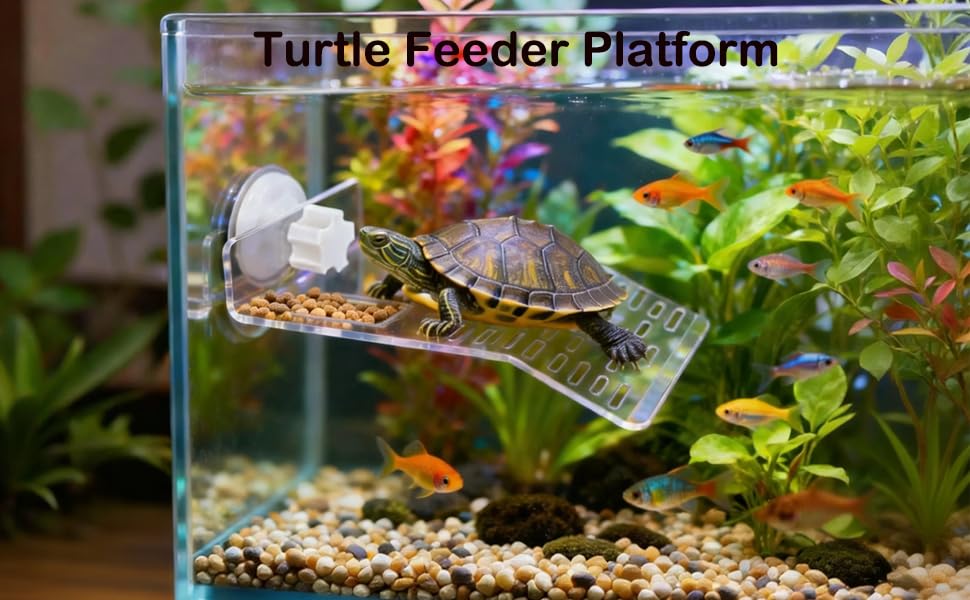 11 pcs Turtle Enrichment Toys Set Tank Tortoise Feeder Brush Skateboard Aquarium Feed Toy Tortoise Feeding Balls