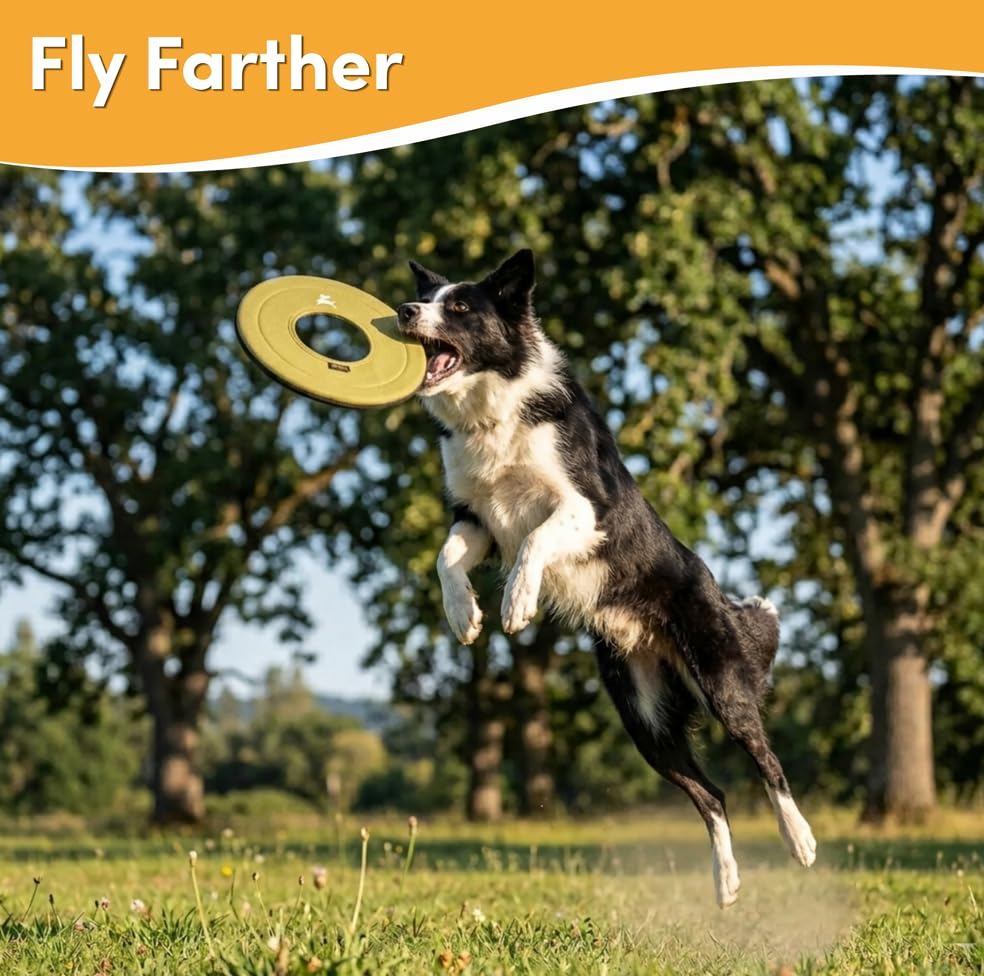 OllyDog Super Flyer Dog Flying Disc – Floating Fetch Toy for Water Play, Soft Eco-Friendly Recycled Fabric, Gentle on Teeth, 11" for Medium & Large Dogs (Alchemy, 11") - color: Alchemy