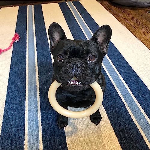 Nylabone Power Chew Ring Dog Chew Toy, Original Flavor, Large