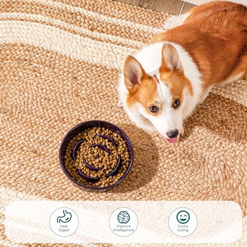 vancasso Slow Feeder Dog Bowl, 1.5 Cup Ceramic Medium Puzzle Dog Food Dish - color: Dark Purple, size: M - 1.5 Cups