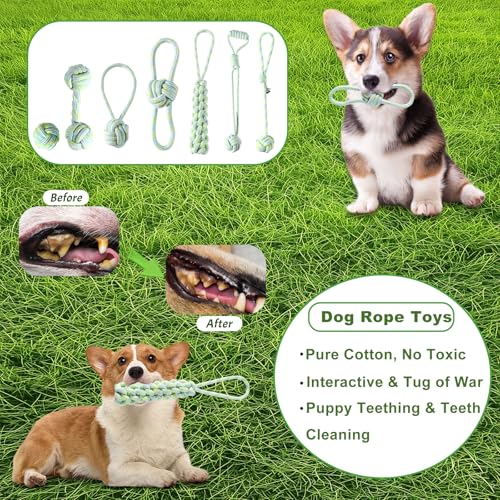 Dog Toy Set, 24 Pack Puppy Teething and Rope Chew Toys with Storage Box, for Small and Medium Dogs