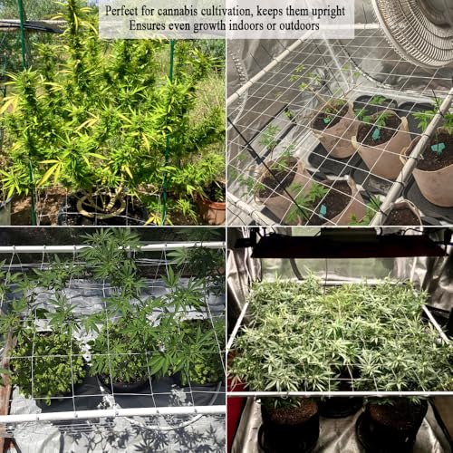 Trellis Netting 5x30 Ft for Climbing Plants - size: 5x30 FT