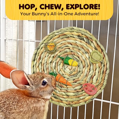 SunGrow Round Rabbit Grass Mat, Chew Toy for Guinea Pigs and Hamsters, Enclosure Bedding for Small Animals, Gnawing and Relaxation Hideout Spot, 8" x 0.7", 1 Pc