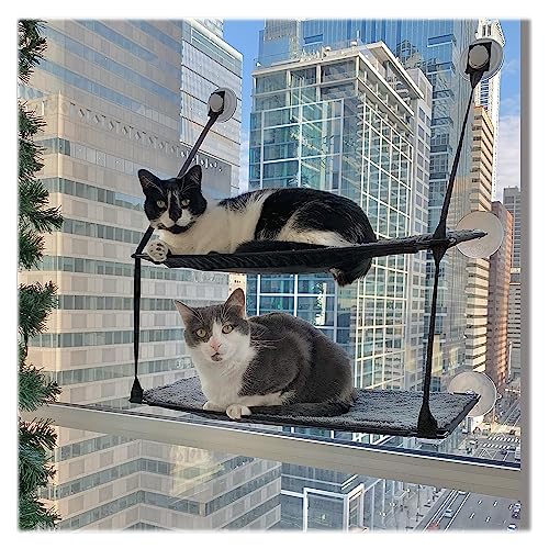 K&H Cat Window Perch, EZ Mount Double Stack Kitty Sill for Large Cats, Gray, 23 X 12 Inches (Pack of 6) - size: 23 X 12 Inches (Pack of 6), style: Double Stack